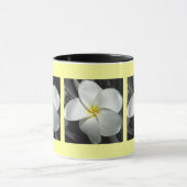 Plumeria-Mok Mok (Midden)