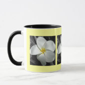Plumeria-Mok Mok (Links)