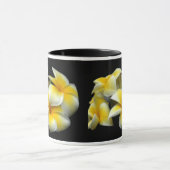 Plumeria-Mok Mok (Midden)