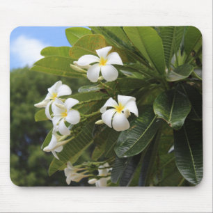 Plumeria Mousepad Muismat