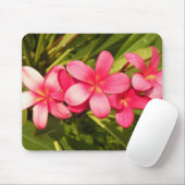 plumeria muismat (Met muis)