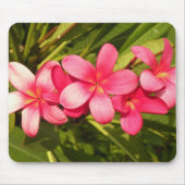 plumeria muismat (Voorkant)