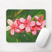 Plumeria Muismat (Met muis)