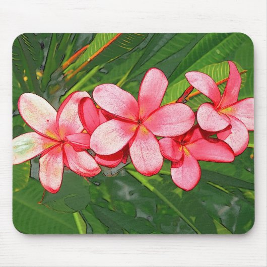 Plumeria Muismat (Voorkant)