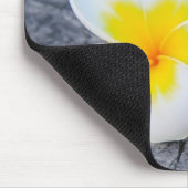 plumeria muismat (Hoek)