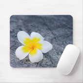 plumeria muismat (Met muis)