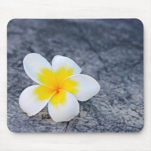 plumeria muismat (Voorkant)