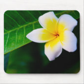 plumeria muismat (Voorkant)