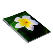 plumeria notitieboek (Rechterzijde)