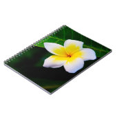 plumeria notitieboek (Linkerzijde)
