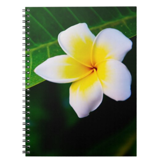 plumeria notitieboek (Voorkant)