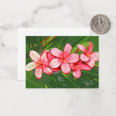 Plumeria Notitiekaartje (Voorkant / Achterkant in situ)