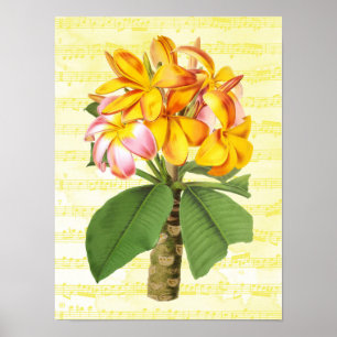  Plumeria on Music Poster