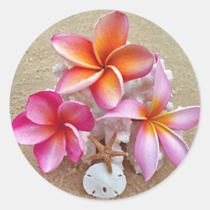 Plumeria op schelpen op het strand ronde sticker