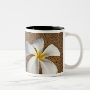 Plumeria op zandstrand, Maui, Hawaï, Verenigde Sta Tweekleurige Koffiemok
