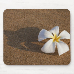 Plumeria op zandstrand, Maui, Hawaï, VS Muismat