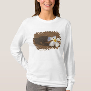 Plumeria op zandstrand, Maui, Hawaï, VS T-shirt