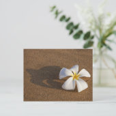 Plumeria op zandstrand, Maui, Hawaii, Verenigde St Briefkaart (Staand voorkant)