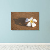 Plumeria op zandstrand, Maui, Hawaii, Verenigde St Canvas Afdruk (Insitu (Houten vloer))