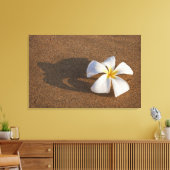 Plumeria op zandstrand, Maui, Hawaii, Verenigde St Canvas Afdruk (Insitu (Woonkamer))