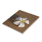 Plumeria op zandstrand, Maui, Hawaii, Verenigde St Tegeltje (Zijkant)