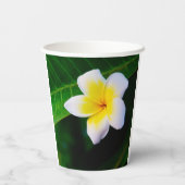 plumeria papieren bekers (Achterkant)