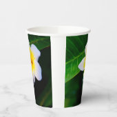 plumeria papieren bekers (Links)