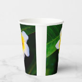plumeria papieren bekers (Rechts)