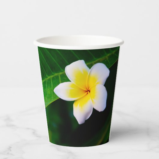 plumeria papieren bekers (Voorkant)
