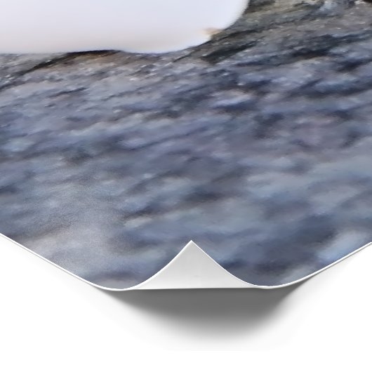 Plumeria Perfect Poster (Hoek)