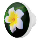 Plumeria Photo Print Keramische Knop (Rechts)