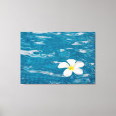 Plumeria Pool Wrapped Canvas Art (Voorkant)