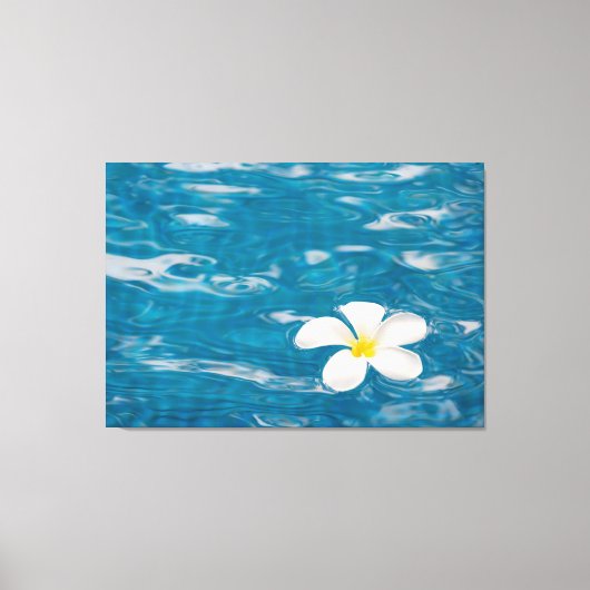Plumeria Pool Wrapped Canvas Art (Voorkant)