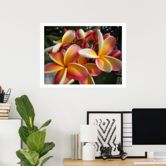 plumeria poster (Thuiskantoor)