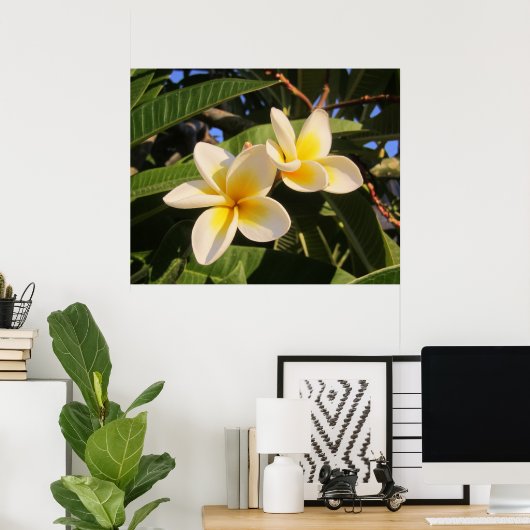 Plumeria Poster (Thuiskantoor)