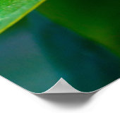 plumeria poster (Hoek)