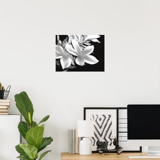 Plumeria Poster (Thuiskantoor)