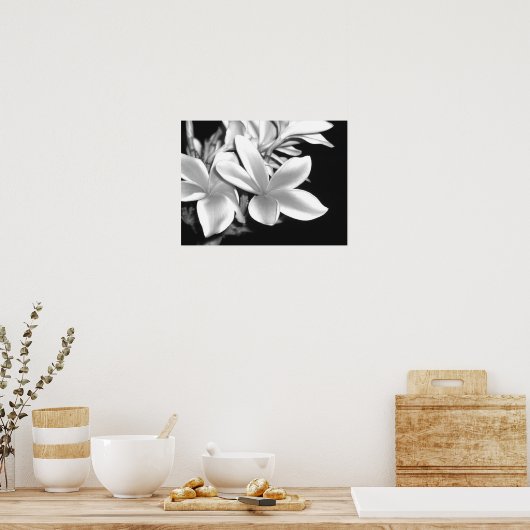 Plumeria Poster (Keuken)