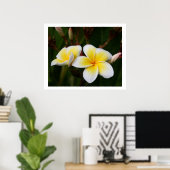 Plumeria Poster (Thuiskantoor)