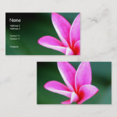 Plumeria-profielkaart Visitekaartje (Voorkant / Achterkant)