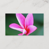 Plumeria-profielkaart Visitekaartje (Achterkant)