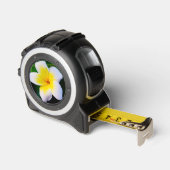 plumeria rolmaat (Hoek)