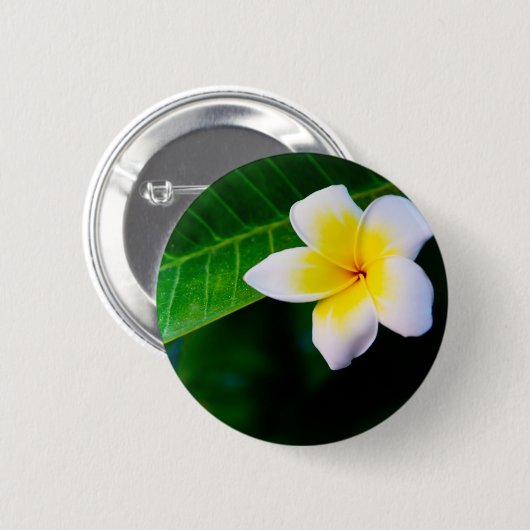 Plumeria Ronde Button 5,7 Cm (Voorkant /achterkant)