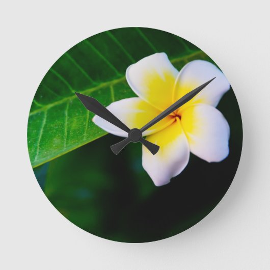 Plumeria Ronde Klok (Voorkant)