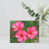 Plumeria - Roos Miami over Briefkaart (Staand voorkant)