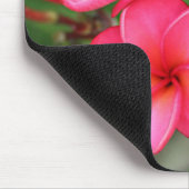 Plumeria - Roos Miami over mousepad Muismat (Hoek)