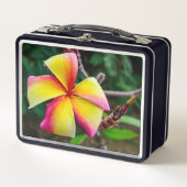 Plumeria rubra (Voorkant)