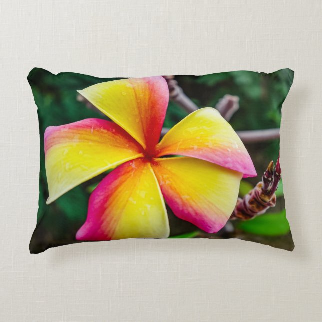 Plumeria rubra accent kussen (Voorkant)