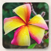 Plumeria rubra bier onderzetter (Voorkant)