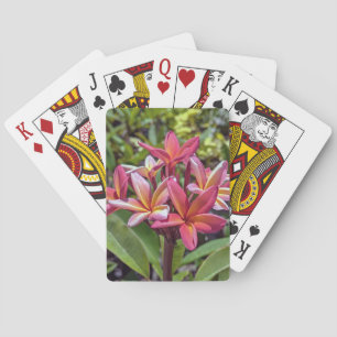 Plumeria Rubra Bloem Speelkaarten
